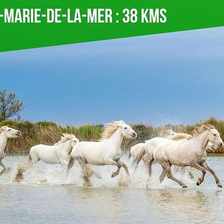 Le Palais Maya - Lumineux - Wifi La Grande Motte Dış mekan fotoğraf
