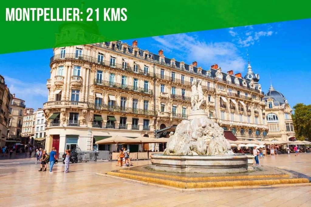 Le Palais Maya - Lumineux - Wifi La Grande Motte Dış mekan fotoğraf